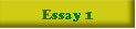 Essay 1