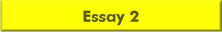 Essay 2