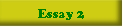 Essay 2